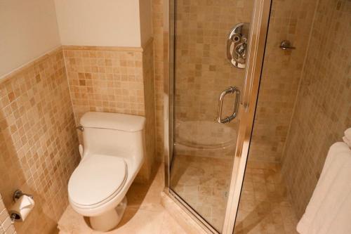 a bathroom with a toilet and a shower at Beachfront luxury 2br condo in Lowlands