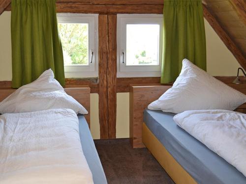 1 Schlafzimmer mit 2 Betten und 2 Fenstern in der Unterkunft Heuboden in Colmberg