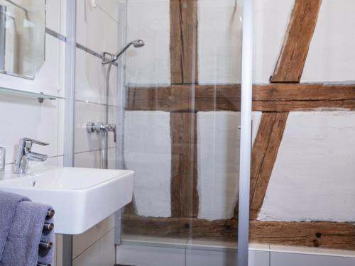 bagno con lavandino e doccia in vetro di Haus Wildrose - a77329 a Colmberg