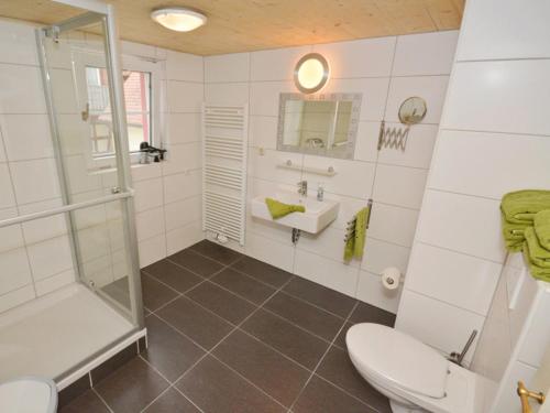 a bathroom with a shower and a toilet and a sink at Alte Schusterei in Colmberg