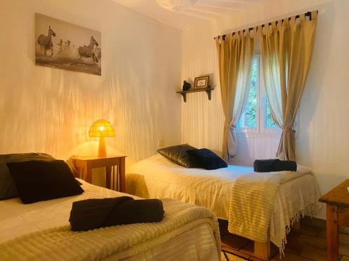 1 dormitorio con 2 camas y ventana en La Pitchoune : Gîte aux pieds des Alpilles, en Mouriès