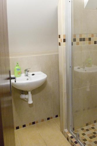 a bathroom with a sink and a shower at Rodinný penzion Skiland in Ostružná