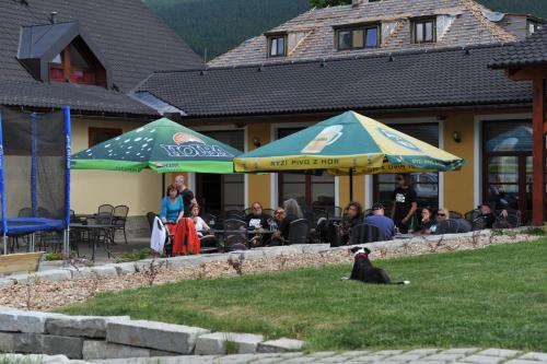 a dog sitting in the grass in front of a restaurant at Rodinný penzion Skiland in Ostružná