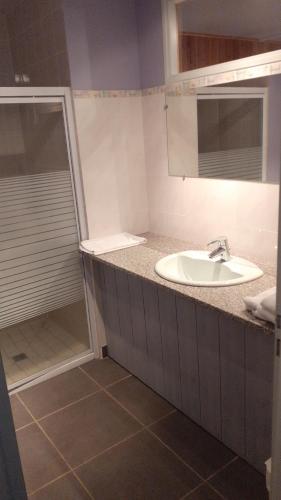 ein Bad mit einem Waschbecken und einer Dusche in der Unterkunft Hotel restaurant la terrasse du mont bar hotel leydier in Allègre