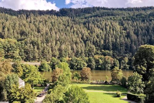 an aerial view of a lake and trees at Penthouse mit Moselblick in Traben-Trarbach