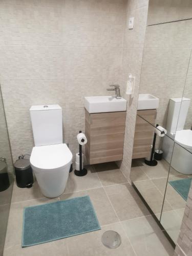 a bathroom with a toilet and a sink at Furadouro Cool & Cozy Flat in Furadouro