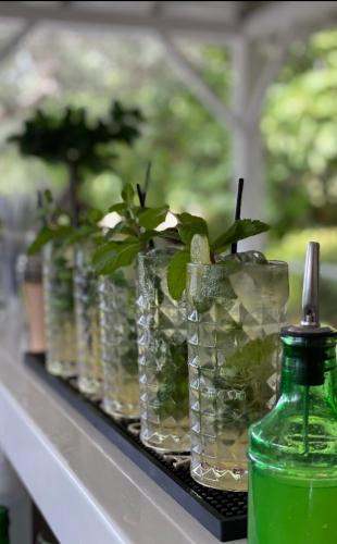 a row of glasses with plants in them on a shelf at Sanidiamonds in Sani Beach