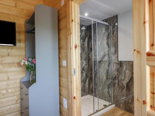 a glass shower in a room with wooden walls at Primrose Lodge in Exeter