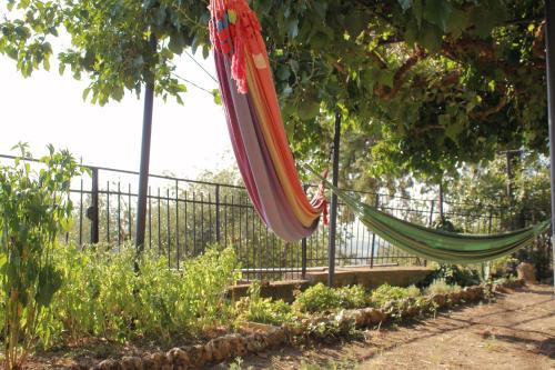 a hammock hanging from a tree in a garden at il nuvoloso in Città della Pieve