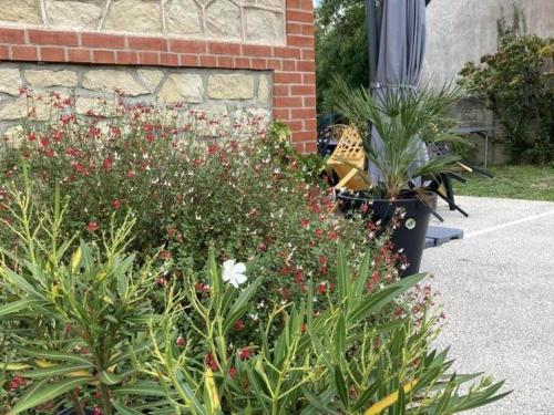 Gallery image of Charmant Gîte Familial avec Jardin Privatif et Confort Moderne, au Cœur de la Touraine - FR-1-381-550 in Sepmes