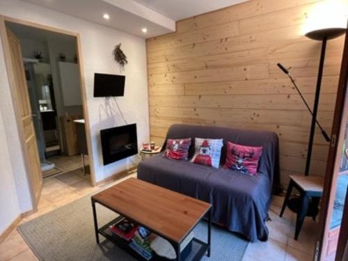 Studio Cauterets, 2 pièces, 4 personnes - FR-1-234-309