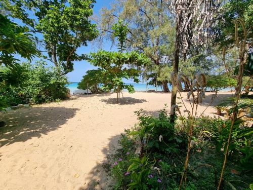 a sandy beach with trees and the ocean in the background at SunBoo Beach Bungalows in Koh Rong Sanloem