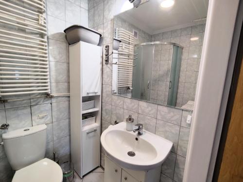 a small bathroom with a toilet and a sink at Dwupokojowe mieszkanie Nowy Dwór Mazowiecki in Nowy Dwór Mazowiecki