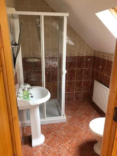 a bathroom with a shower and a sink and a toilet at 2 Ballyloskey Road in Carndonagh