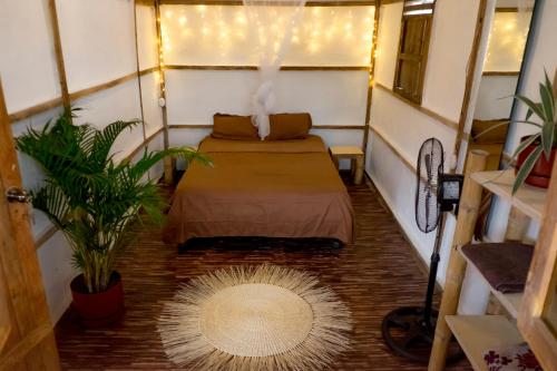蒙坦尼塔的住宿－Casa Caracol，小房间,配有床和地毯