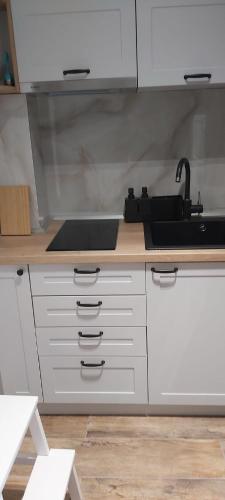 a kitchen with white cabinets and a sink at Hedonica 11 Ema in Vrdnik
