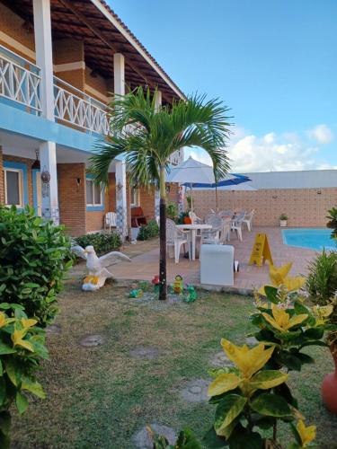 a backyard with a palm tree and a pool at Torre do Sol in Praia do Frances