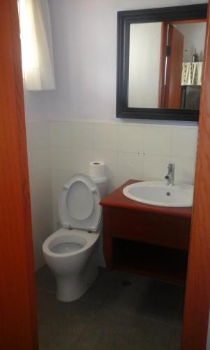 a bathroom with a toilet and a sink and a mirror at Residencial Las Palmeras de Willy Boca Chica in Boca Chica