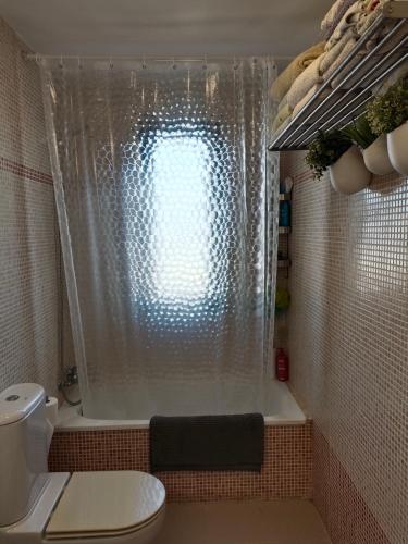 a bathroom with a shower with a toilet and a sink at Ático Mirabal in Mairena del Aljarafe