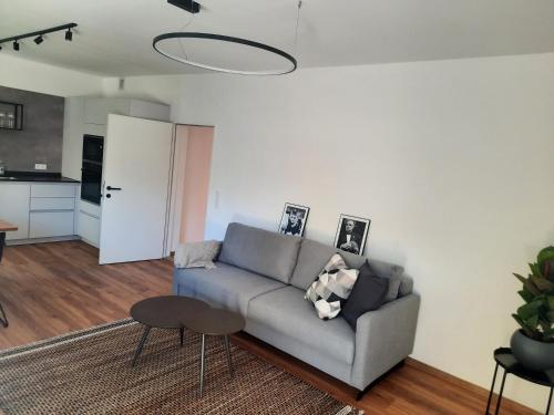 Apartment by Bruno في إنسبروك: غرفة معيشة مع أريكة ومطبخ