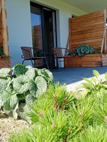 a patio with chairs and plants in a yard at Wetlina Poza Trasą in Wetlina