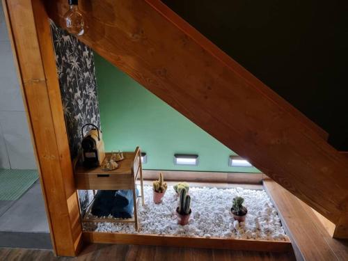 a group of cactuses sitting on the floor under a staircase at Tropic Love Room in Lyon