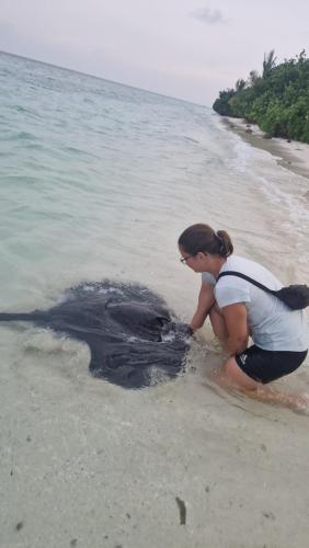 a woman looking at a turtle on the beach at Bird Beak Beach in Omadhoo