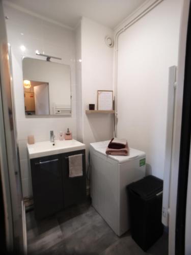 une salle de bain avec un lavabo et un miroir dans l'établissement Appartement avec garage proche du centre-ville, à Troyes
