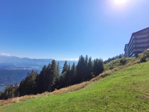 a grassy hill with trees on the side of it at Gerlitzen-Apartments in Kanzelhöhe