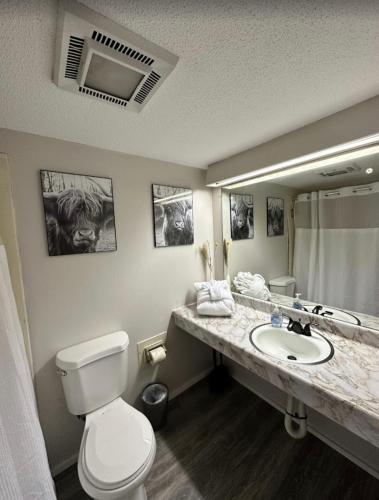 a bathroom with a toilet and a sink and a mirror at Timber Ridge Lodge Gatlinburg in Gatlinburg
