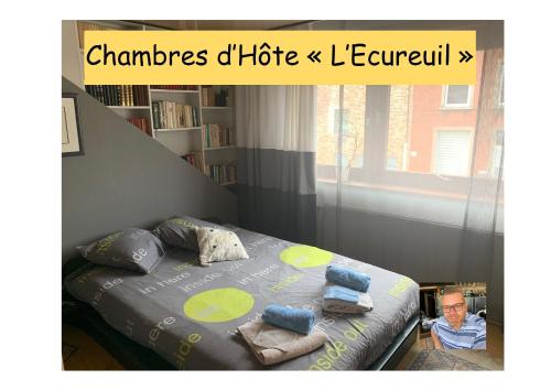 Chambre d'hôte L'Écureuil proche de Mons, Pairi Daiza et Spark Ok