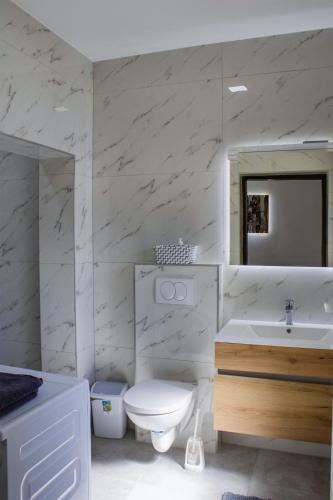 a white bathroom with a toilet and a sink at Črni Baron Pension Black Baron in Maribor