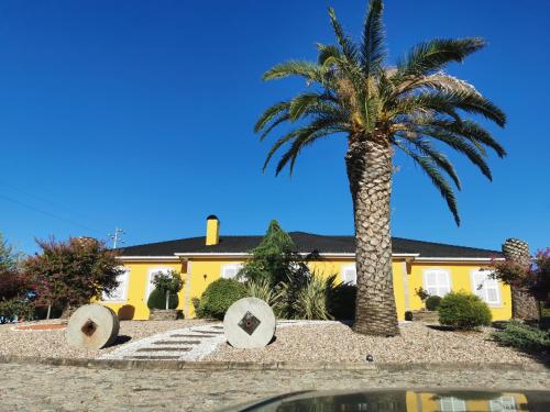 a palm tree in front of a yellow house at A Flor da Rosa in Vila Nova de Foz Coa