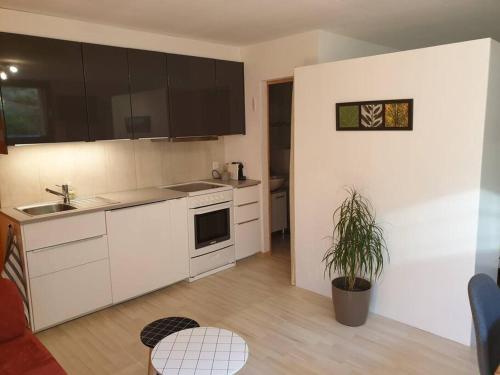 une cuisine avec des armoires blanches et une plante en pot dans l'établissement Studio agréable avec accès indépendant., à Yverdon-les-Bains