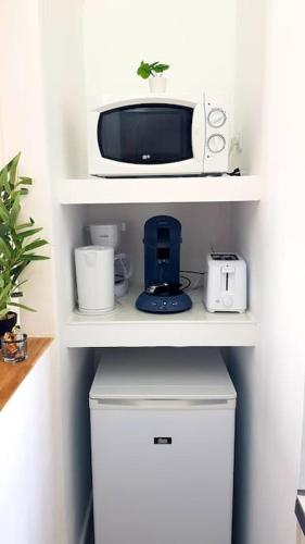 - un four micro-ondes installé sur une étagère au-dessus d'un réfrigérateur dans l'établissement Le Chat Bleu - 26m2- Terrasse sur les toits - Wi-fi, à Amiens