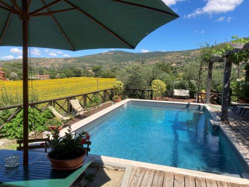 ein Pool mit Sonnenschirm neben einem Weinberg in der Unterkunft Villa Toppani Del Sodo in Cortona