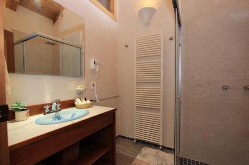 La salle de bains est pourvue d'un lavabo et d'une douche. dans l'établissement Hotel Casa de Familia de San Cristobal, à San Cristóbal de Las Casas