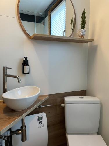 bagno con lavandino, servizi igienici e specchio di Tiny House im Spreewald a Kittlitz