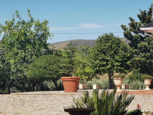 a garden with large pots of plants and trees at A Flor da Rosa in Vila Nova de Foz Coa