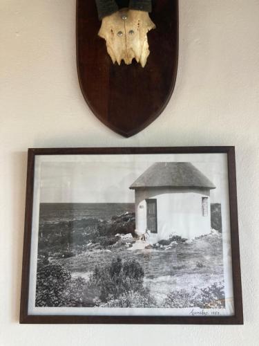 a picture of a skull and a mirror on a wall at Rondawel with sea view in Kleinmond
