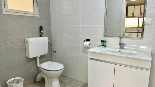 a bathroom with a toilet and a sink and a mirror at Salamandra Guest House מקלט פרטי in Nahariyya