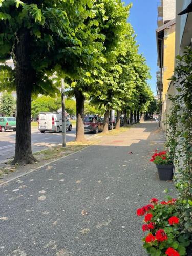 a street with trees and red flowers on the sidewalk at Kiko's Lodge - Historical Apartment in Como in Como