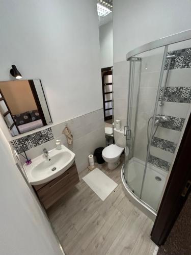 un bagno con doccia, lavandino e WC di Studio Kraszewskiego 5 a Rzeszów