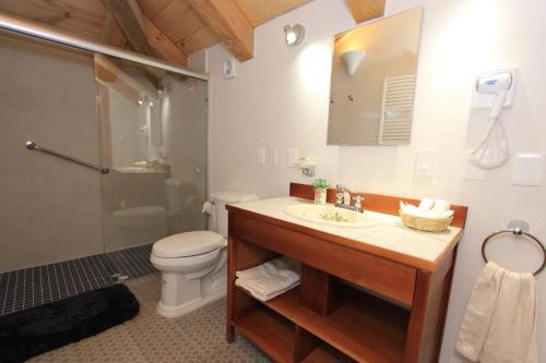a bathroom with a sink and a toilet and a shower at Hotel Casa de Familia de San Cristobal in San Cristóbal de Las Casas