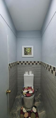 a bathroom with a toilet in a room at Lynn's Getaway Guest House in Apia