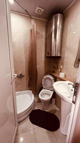 a small bathroom with a toilet and a sink at Natalia Guest House in Batumi