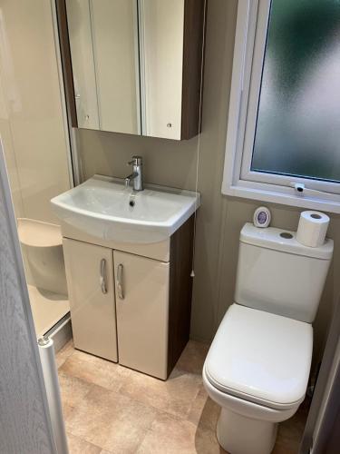 uma casa de banho com um WC, um lavatório e um espelho. em Staycay Luxury Caravan em Seasalter