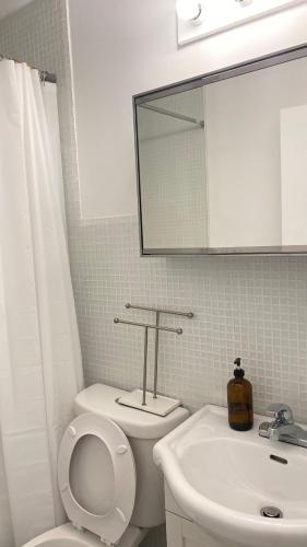 a bathroom with a toilet and a sink and a mirror at The Parkdale Hostellerie in Toronto