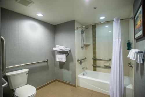 a bathroom with a toilet and a tub and a shower at DoubleTree by Hilton Asheville Downtown in Asheville