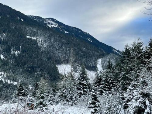 a snow covered mountain with trees in the foreground at Stunning 5-bed Retreat in Sunshine Valley in Sunshine Valley